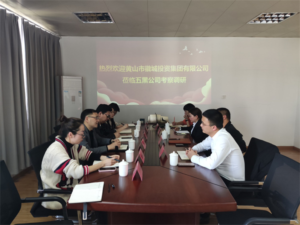 4月21日，集團(tuán)黨委委員、常務(wù)副總經(jīng)理，公司董事長兼總經(jīng)理方亮帶隊(duì)赴黟縣考察“黟品五黑”區(qū)域公用品牌運(yùn)營推廣機(jī)制和“五黑”農(nóng)業(yè)特色產(chǎn)業(yè)發(fā)展情況.jpg